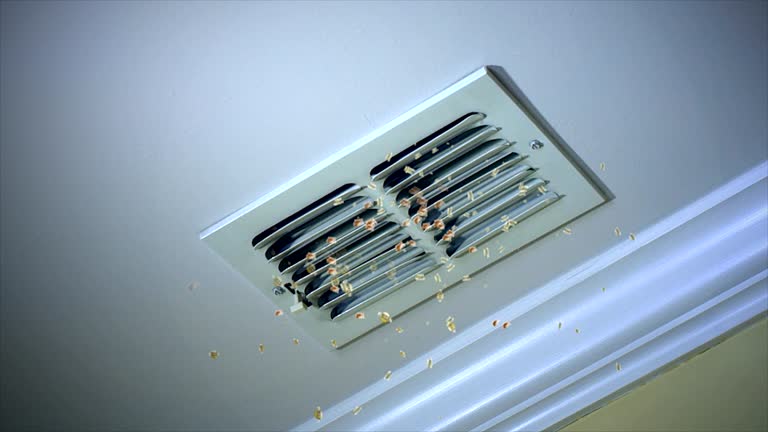 Best Local Air Duct Cleaning Services  in Heartland, TX